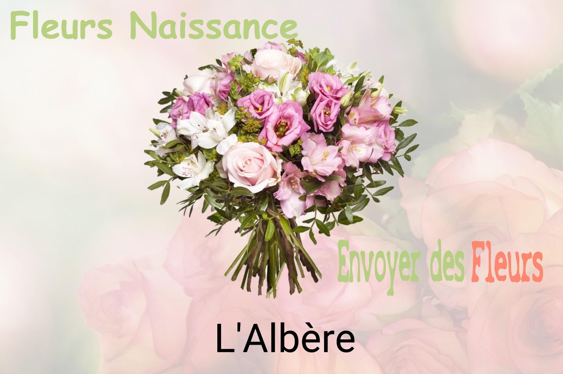 Bouquet de fleurs de naissance livré à L'Albère